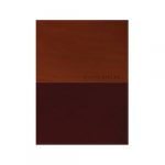 Biblia Mediana Letra Grande NTV – Dúo tono –  Café y Chocolate