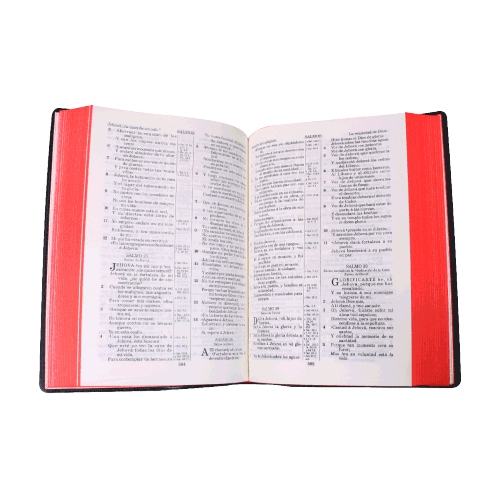 Biblia Reina Valera 1909 Mediana, Vinil, Negro - Imagen 5