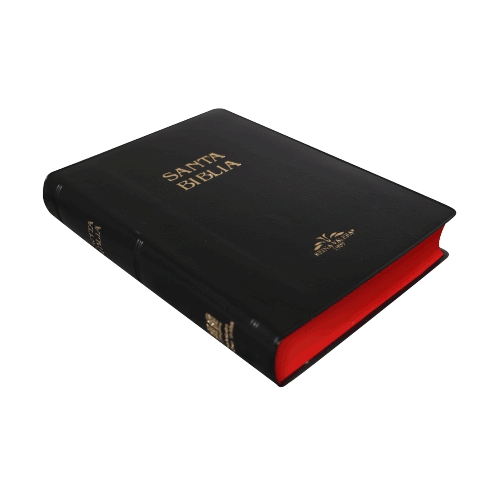Biblia Reina Valera 1909 Mediana, Vinil, Negro - Imagen 3