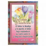 Tarjeta de Bolsillo - Eres una Bendición - Flores