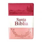 Biblia Tricolor Rosa con índice y cierre RV60
