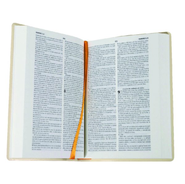 Biblia Beige Estampada de Bolsillo RV60  Buena Letra - Imagen 3
