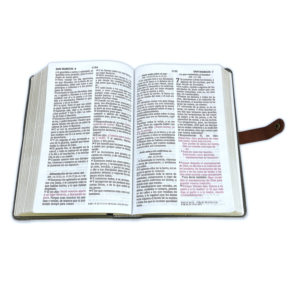 Biblia RV60 Broche LG Manual Canto Dorado Imitación Piel Gris y Café - Imagen 3