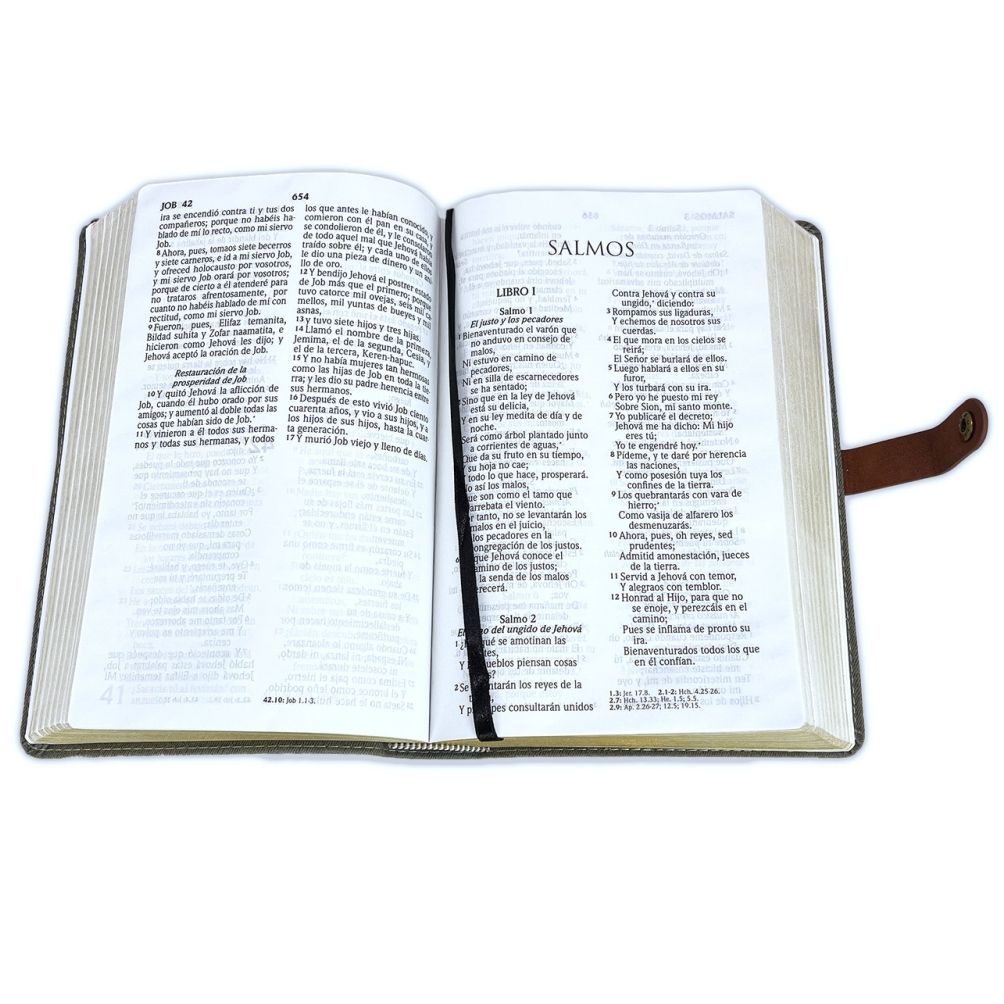 Biblia RV60 Broche LG Manual Canto Dorado Imitación Piel Gris y Café - Imagen 2