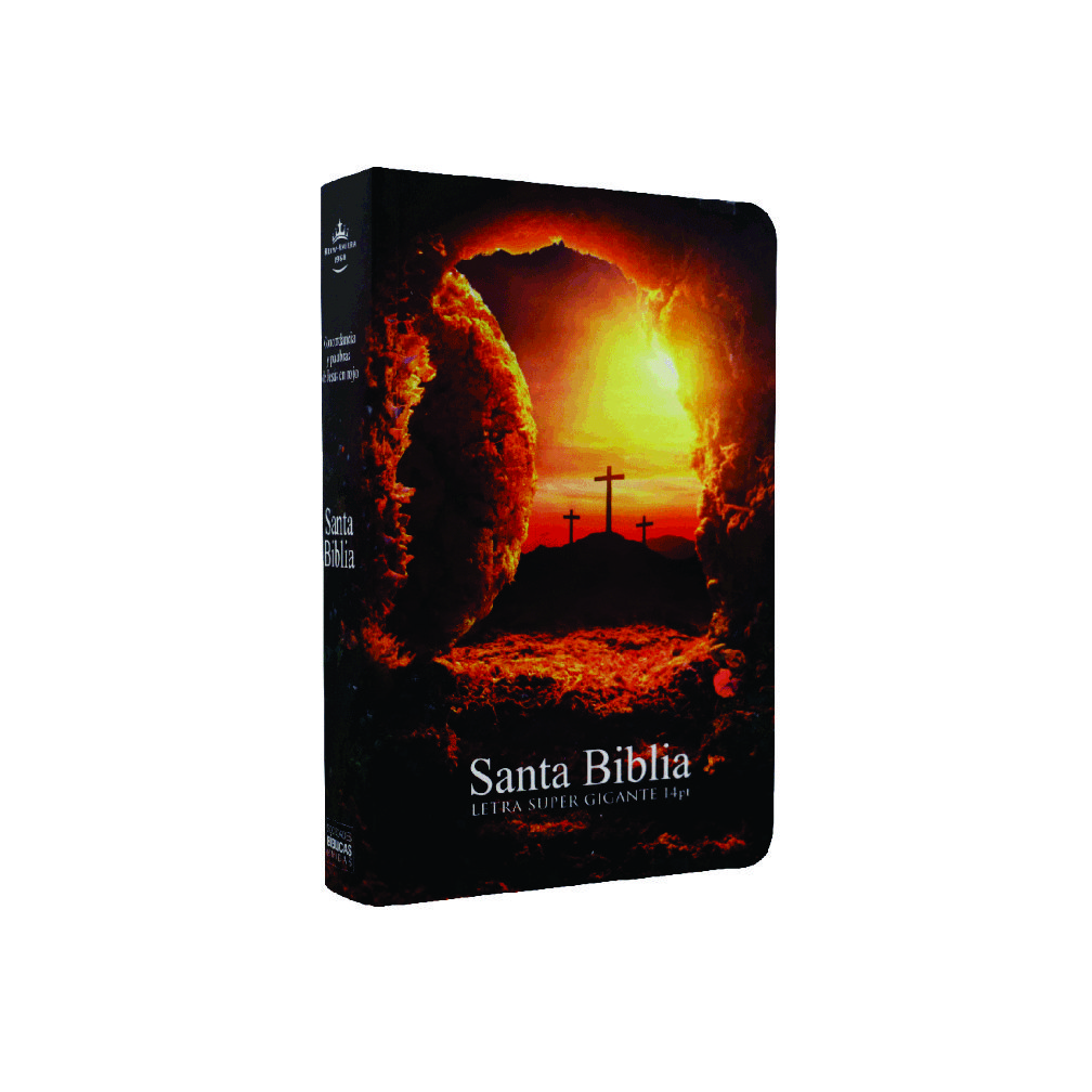 Biblia Edición de Piedra Pasta Rustica de Letra Super Gigante