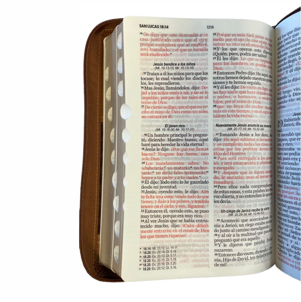 Biblia RV1960 Letra Grande, Imitación Piel "ABBA Café/Café" c/Cierre e Índice - Imagen 2