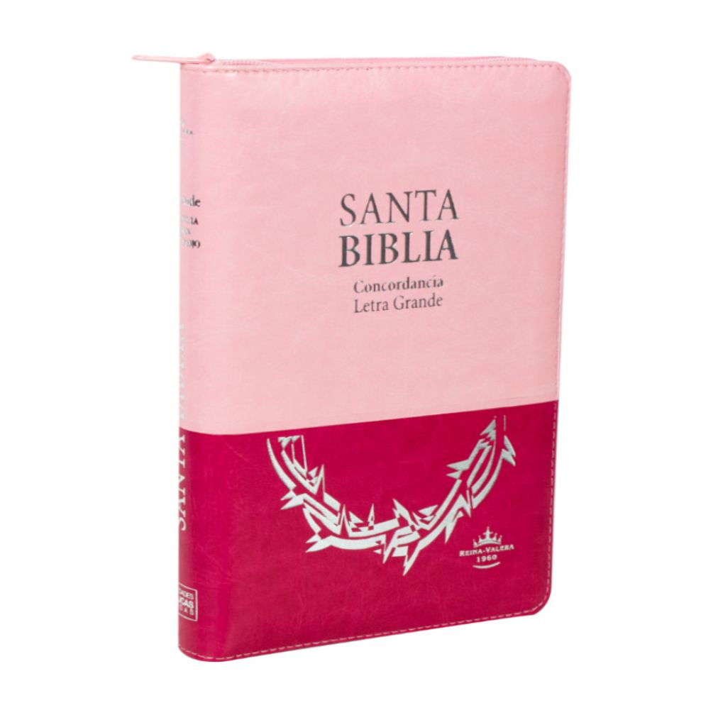 Biblia Reina Valera 1960 Mediana Letra Grande Imitación Piel Rosa Duotono