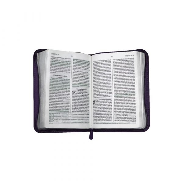 Biblia de Promesas Reina Valera 1960 - Mediana Color Morado - C/Cierre - Imagen 3