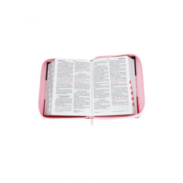 Biblia Abba LG11 3 Colores - Imagen 2