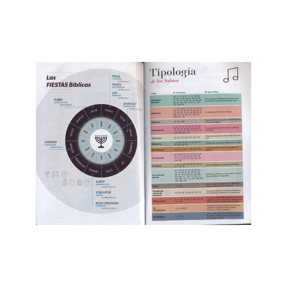 Biblia LG Jean Azul - C/C RV1960 - Imagen 3