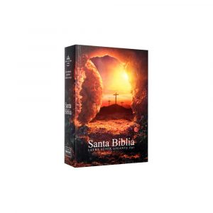 Biblia Reina Valera 1960 Chica Letra Gigante Rústica Piedra