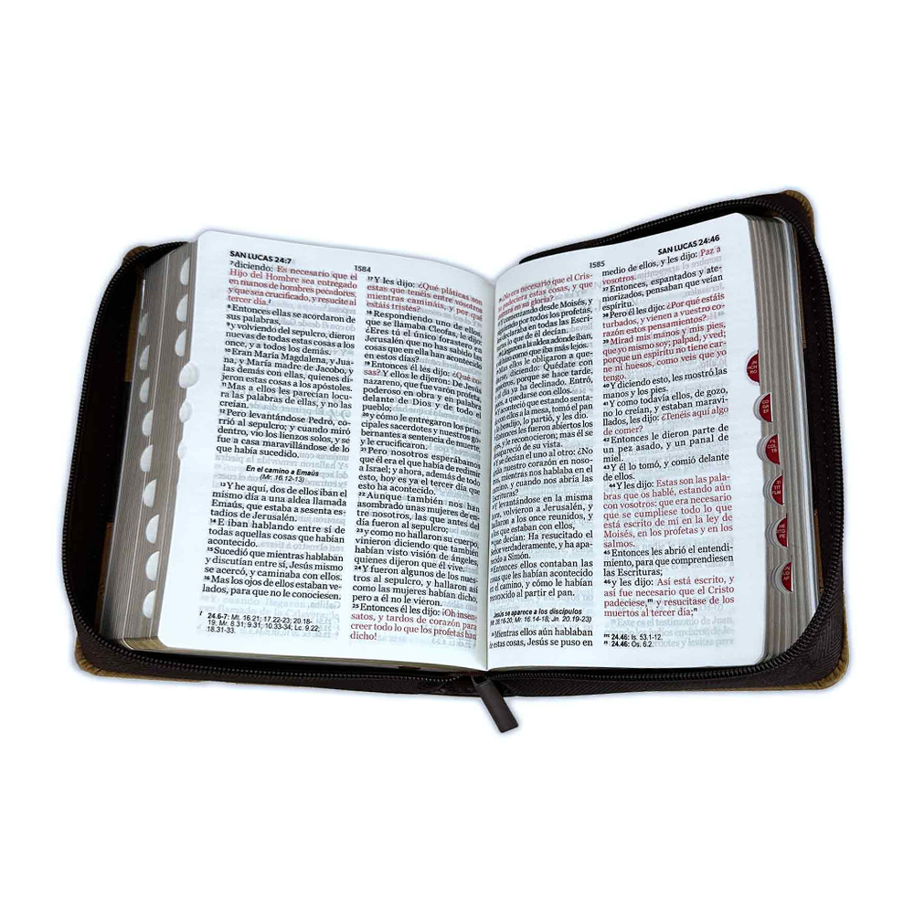 Biblia Compacta RV60 Letra Grande Imitación Piel c/Cierre e Índice - Imagen 2