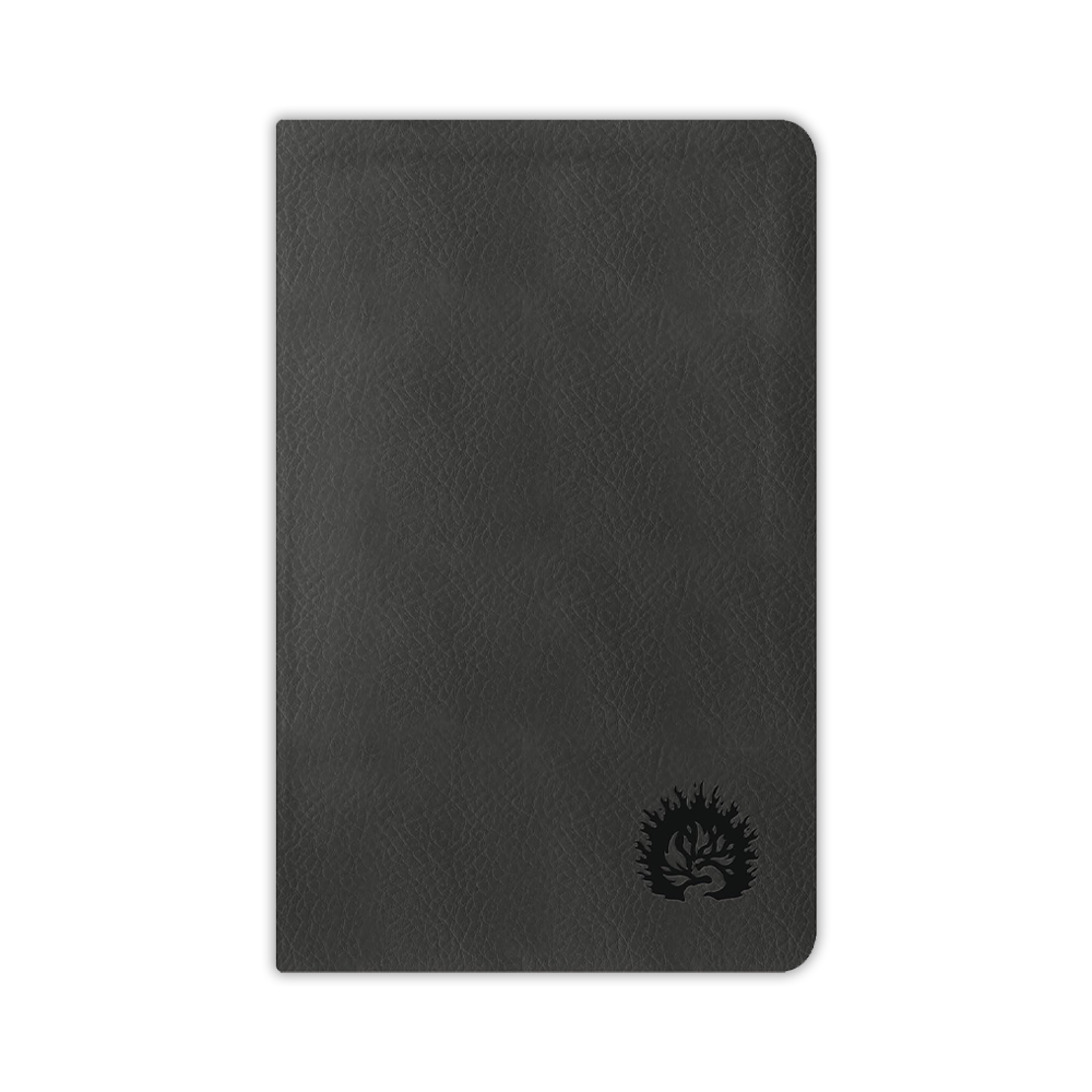 Biblia de Estudio de la Reforma NBLA, Edición Condensada - Imagen 2