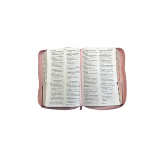 Biblia bicolor Mariposa Biblia bicolor Mariposa