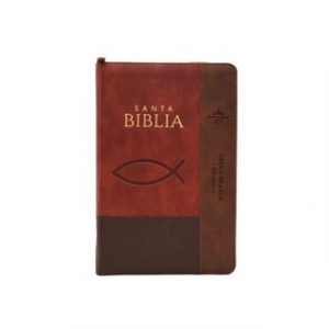 Biblia RVR1960 Inspiración Color Café LG CZ Indice