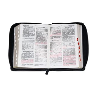 Biblia RVR60 LG Compacta León Negro - Imagen 4