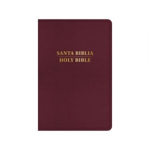 Biblia Bilingüe RVR60 KJV Borgoña Imitación