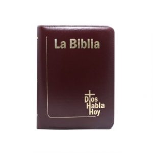 Biblia Dios Habla Hoy Grande LG Imitación Piel Café