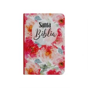 Biblia RVR60 Bolsillo Letra Chica Tapa Semiflexible