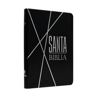 Biblia RV1960, Vinil Negro/Plateado - Imagen 3