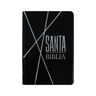 Biblia RV1960, Vinil Negro/Plateado