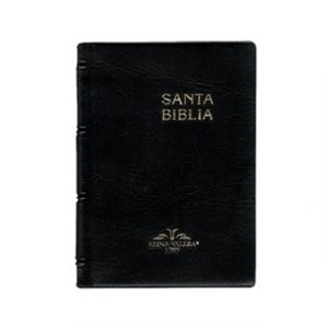 Biblia Reina Valera RVR1909