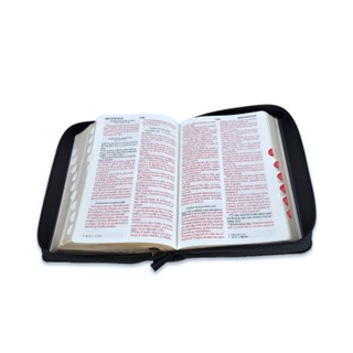 Biblia RVR60 Imit Piel Negro con Indice "Arca del Pacto" - Imagen 4
