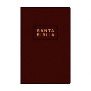 Biblia NTV ViniPiel Café Palabras de Jesús en Rojo